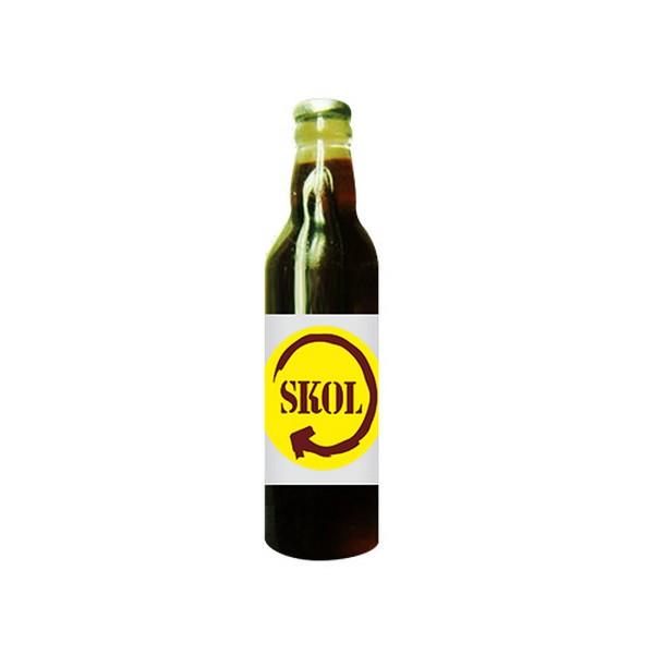 cerveja garrafa skol