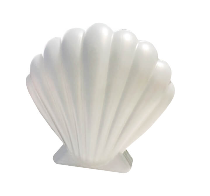 CONCHA DECORATIVA